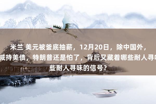 米兰 美元被釜底抽薪,12月20日,除中国外,美盟友也减持美债,特朗普还是怕了,背后又藏着哪些耐人寻味的信号?