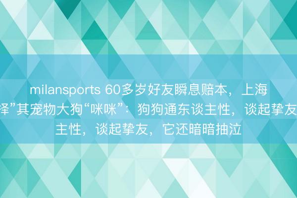 milansports 60多岁好友瞬息赔本,上海70多岁老伯“选择”其宠物大狗“咪咪”:狗狗通东谈主性,谈起挚友,它还暗暗抽泣