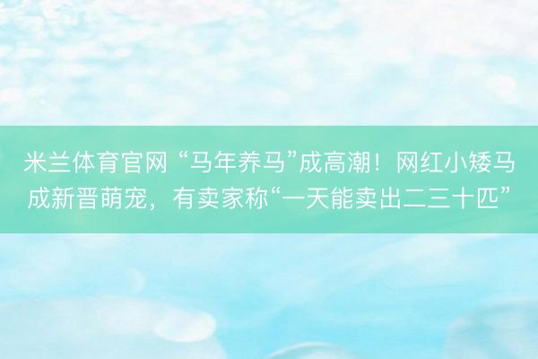 米兰体育官网 “马年养马”成高潮！网红小矮马成新晋萌宠，有卖家称“一天能卖出二三十匹”