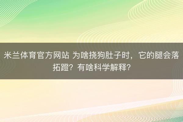 米兰体育官方网站 为啥挠狗肚子时，它的腿会落拓蹬？有啥科学解释？