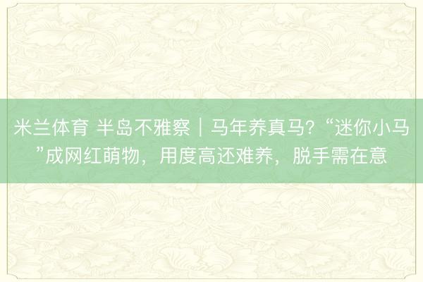 米兰体育 半岛不雅察｜马年养真马？“迷你小马”成网红萌物，用度高还难养，脱手需在意