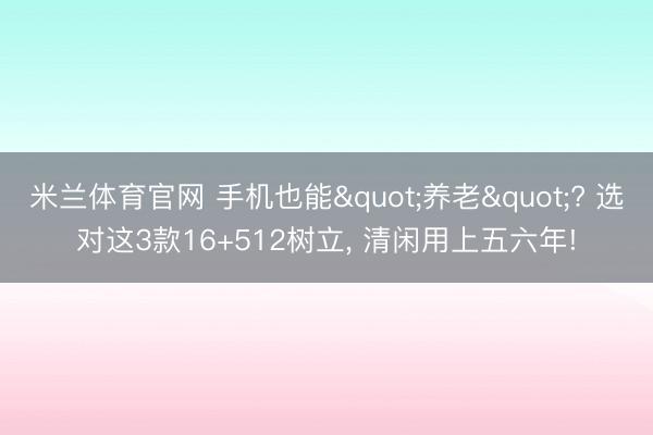 米兰体育官网 手机也能"养老"? 选对这3款16+512树立, 清闲用上五六年!